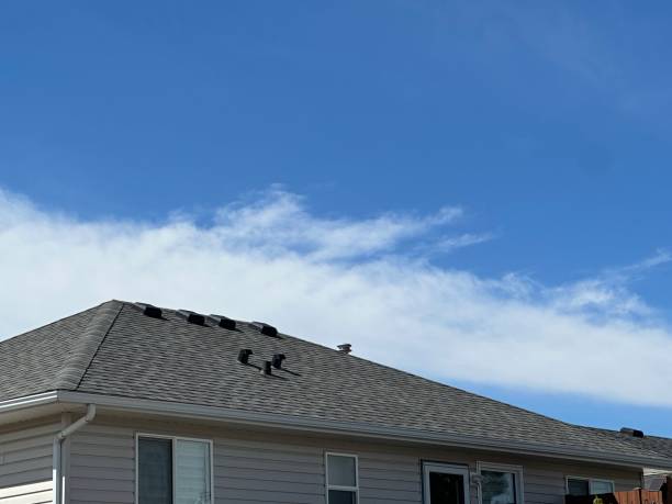 Fast & Reliable Emergency Roof Repairs in Kenilworth, NJ